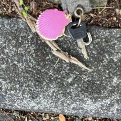 Sleutel (Fiets), gerapporteerd met iLost