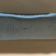 Betaurrekoen zorroa, gisa salatu by Regio Antwerpen - Brussel iLost erabiliz