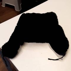 Beanie, som rapportert av Qbuzz ZHN ved bruk av iLost