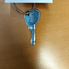 Chiavi, come riportato da Centraal magazijn utilizzando iLost