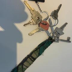 열쇠 (Wilde weide), iLost를 사용하여 Gemeente Amsterdam - Bureau Gevonden Voorwerpen에 보고됨