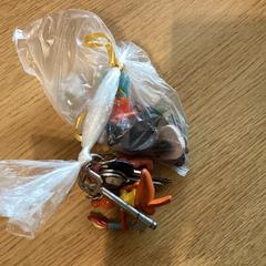 Nycklar, rapporterat av Stad Hasselt med iLost