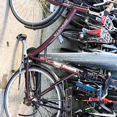 Dámsky bicykel sparta, ako bolo nahlásené Stadswerk072 pomocou iLost