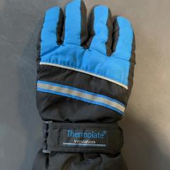 İLost kullanarak Burgers' Zoo tarafından bildirildiği gibi Eldiven Zwart met blauwe accenten