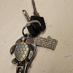 Giltzak, gisa salatu by HTM iLost erabiliz