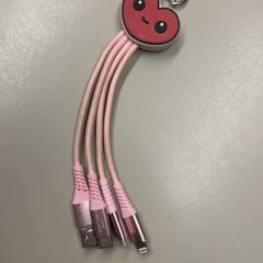 어댑터 Roze met hartje, iLost를 사용하여 Burgers' Zoo에 보고됨