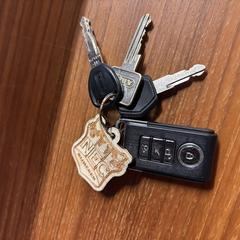 Sleutels, segons s'ha informat a iLost