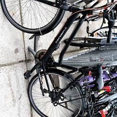 Bicicleta de senhora cumberland, como reportado por Stadswerk072 utilizando o iLost