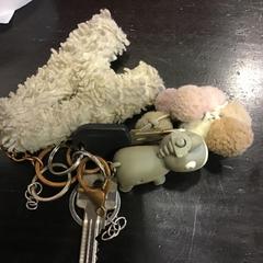 المفاتيح، كما تم الإبلاغ عنه بواسطة Qbuzz U-OV عبر iLost