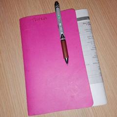 Llibre pink, segons ha informat The Dominican mitjançant iLost
