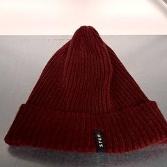 Mössa, rapporterat av Keolis Lund med iLost