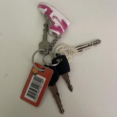 Sleutels, iLost-i jakinarazi zaion moduan