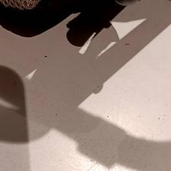 حاملة أطفال، كما تم الإبلاغ عنه بواسطة De Efteling عبر iLost