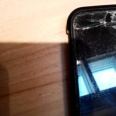 아이폰 Zwart, iLost를 사용하여 Beekse Bergen Resorts en Hotel에 보고됨