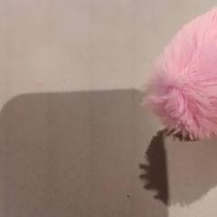 Knuffel, as reported by De Efteling using iLost