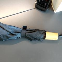 Deštník, jak nahlášeno Centraal magazijn pomocí iLost