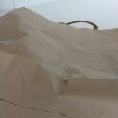 Bag Bruin papieren tas, as reported by Regio Antwerpen - Brussel using iLost