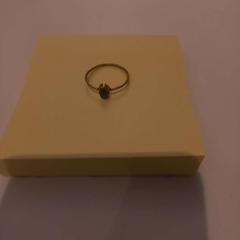 Ringe, som rapportert av Arriva Limburg Zuid ved bruk av iLost