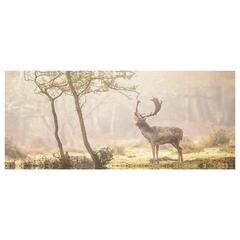 IKEA produkt, rapporterat av IKEA前橋 med iLost