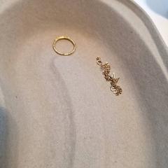 Smycken Goud, ring en ketting, rapporterat av IJsselland Ziekenhuis med iLost