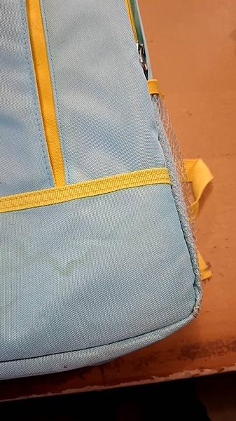 Backpack