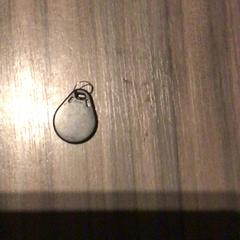 Klíč Zwart, loper, jak nahlášeno Van der Valk Hotel Zwolle pomocí iLost