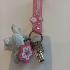 Sleutelhanger, zoals gemeld door Arriva Limburg Zuid met iLost