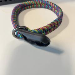 Corretja regenboog, segons ha informat Burgers' Zoo mitjançant iLost