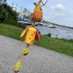 Baby speeltje a été signalé sur iLost