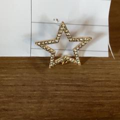 Náušnice Goudkleurig met steentjes, jak nahlášeno Attractie- & Vakantiepark Slagharen pomocí iLost