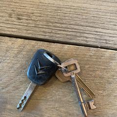 Autosleutel  Citroën C1 en twee andere sleutels, rapporterat av Gemeente Meierijstad med iLost