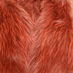 ボディウォーマー がiLostで Rotterdam The Hague Airport によって報告されました