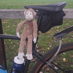 Knuffel aap / monkey, jak bylo nahlášeno na iLost