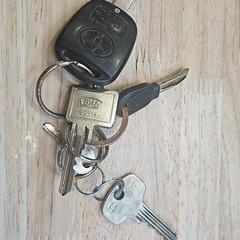 Autosleutels, come riportato da Gemeente Wageningen utilizzando iLost