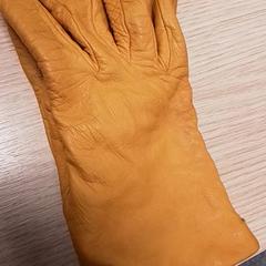 Luvas, segundo informou Qbuzz Fryslân usando iLost