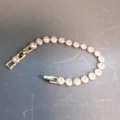 Armband, rapporterat av Diergaarde Blijdorp med iLost
