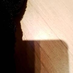 イヤーウォーマー がiLostで Beekse Bergen Resorts en Hotel によって報告されました