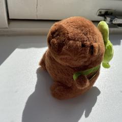 Capybara knuffel, segundo informou a iLost