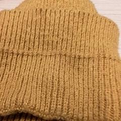 Beanie Oker, amint azt Qbuzz Fryslân az iLost segítségével jelentette.