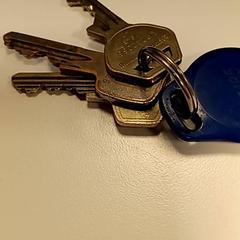 Chaves, como reportado por Syntus Provincie Utrecht utilizando o iLost