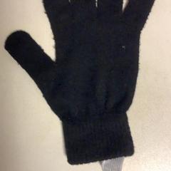 Hansker, som rapportert av Artis ved bruk av iLost