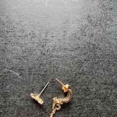 Kolczyk, zgłoszono przez Hotel V Fizeaustraat przy użyciu iLost