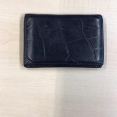 Titular da paixón Tonneijck, segundo informou Gemeente Nijmegen usando iLost