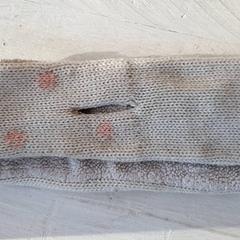 Schal Col, gemeldet von DierenPark Amersfoort über iLost