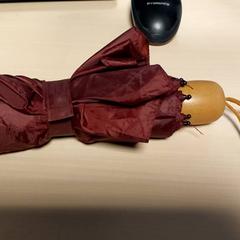 Dáždnik - Opvouwbare, ako bolo nahlásené Regio Oost-Vlaanderen pomocou iLost