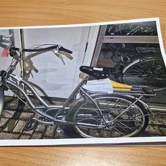 Damenrad, gemeldet von Gemeente Roermond über iLost