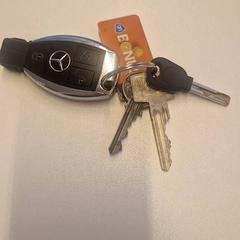 Klíče, jak nahlášeno Gemeente Zutphen pomocí iLost