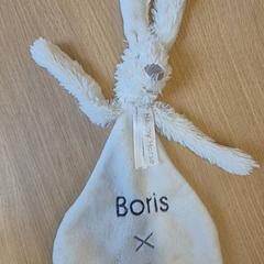 Knuffel, iLost를 사용하여 Canisius-Wilhelmina Ziekenhuis에 보고됨