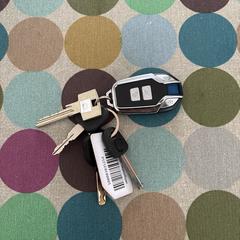 Sleutels, gerapporteerd met iLost