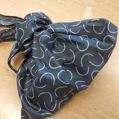 Bossa - draagtas, segons ha informat Centraal magazijn mitjançant iLost